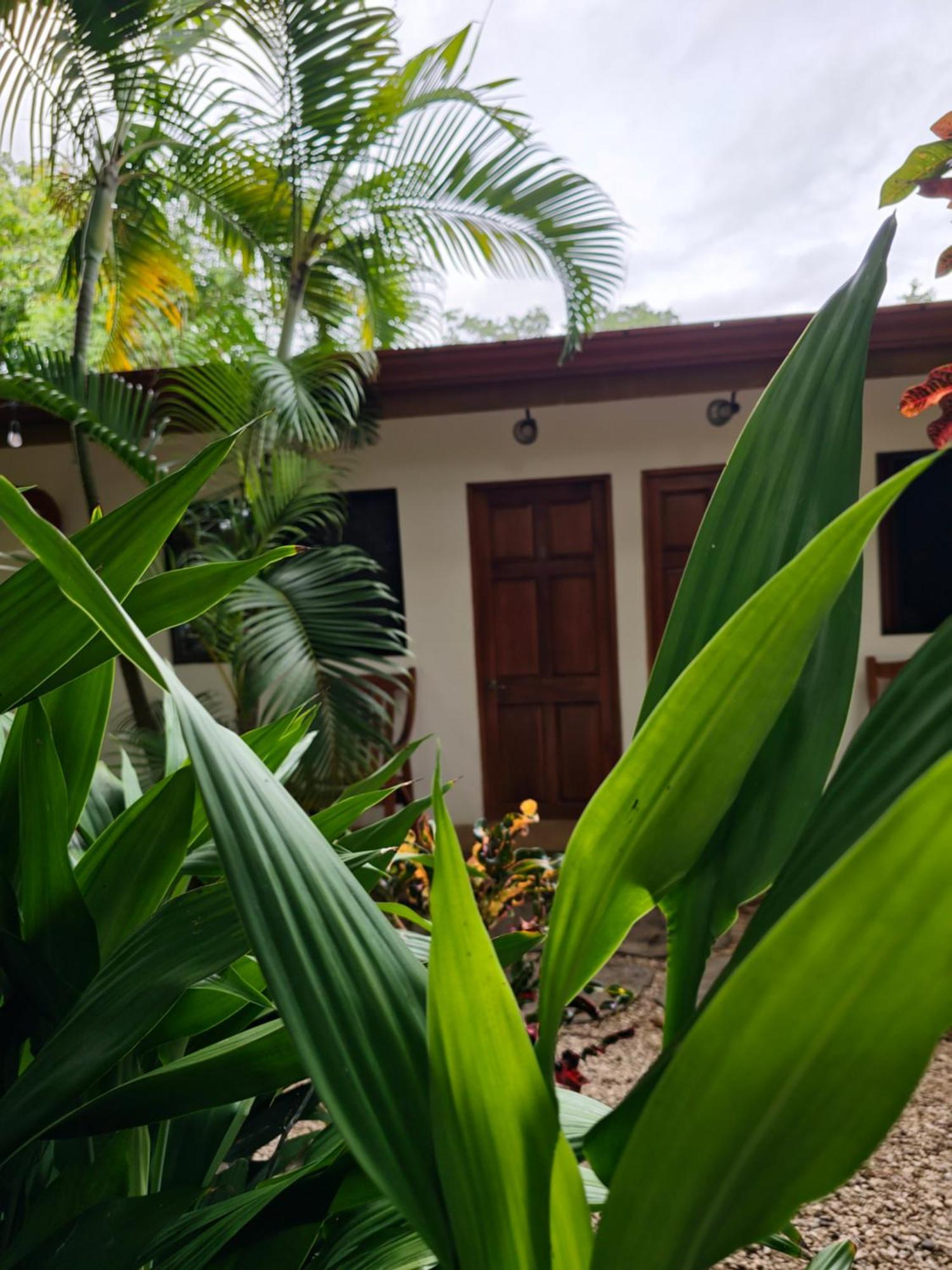 Buddha Retreat Hotel San Juanillo Luaran gambar