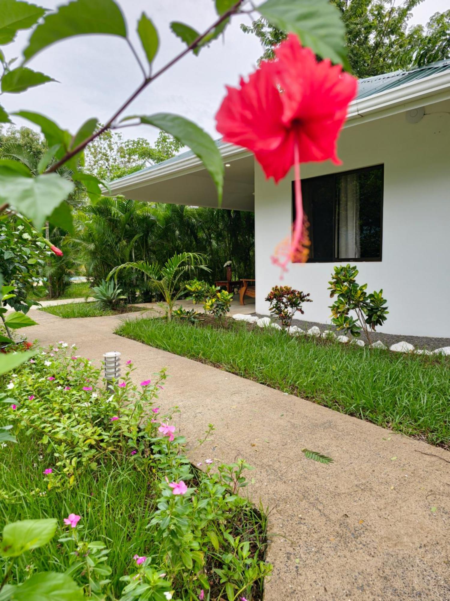 Buddha Retreat Hotel San Juanillo Luaran gambar