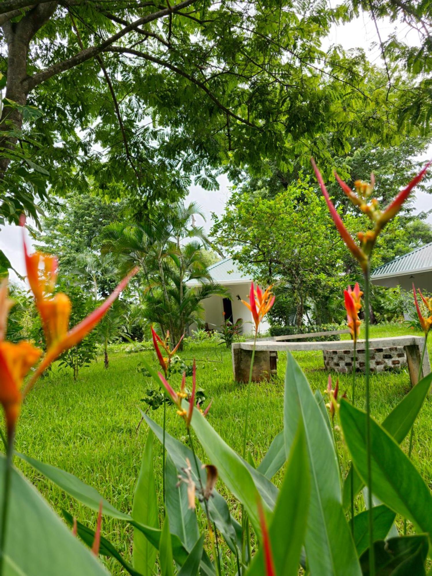 Buddha Retreat Hotel San Juanillo Luaran gambar